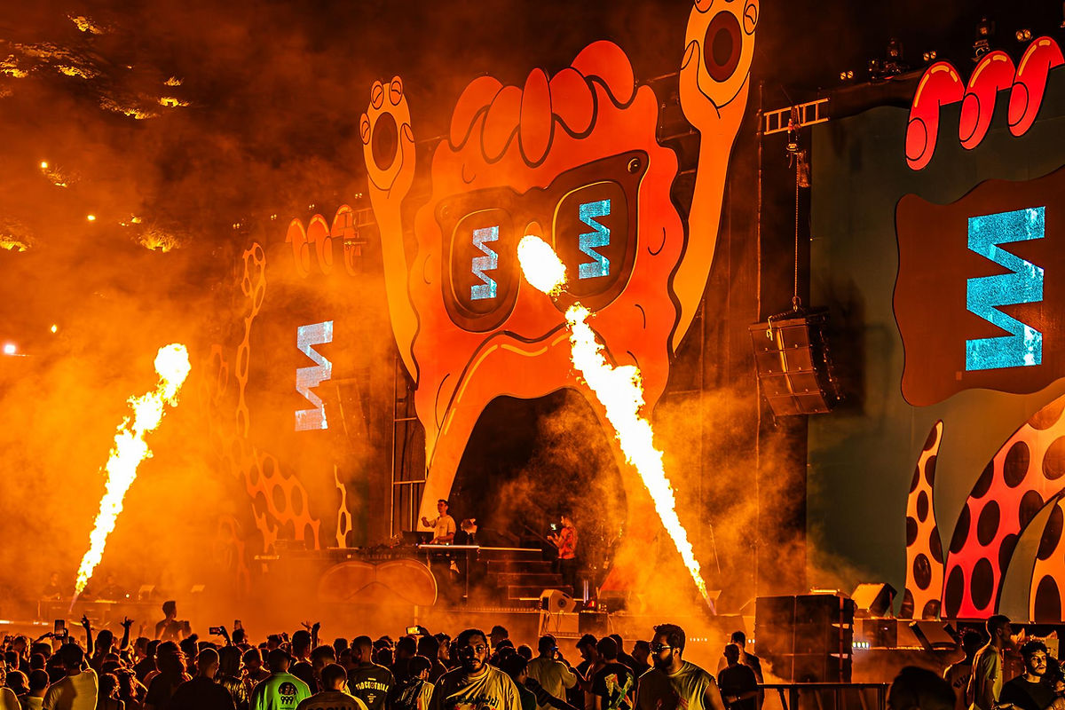 Freaks of Nature Boutique Festival